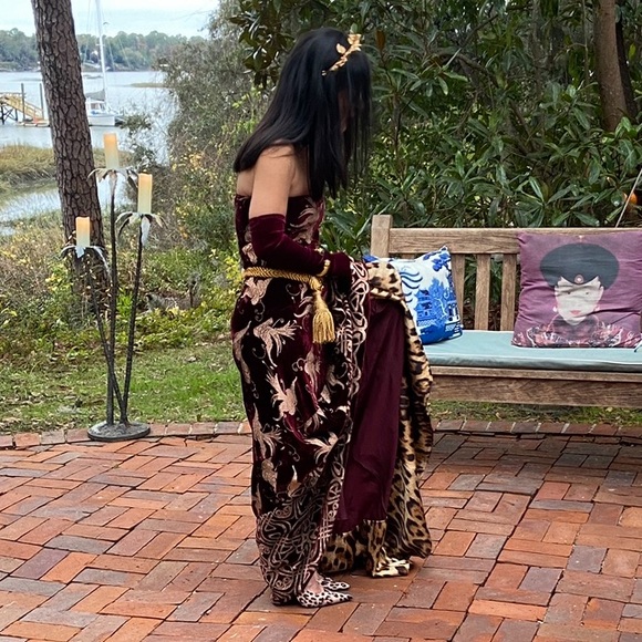 Roberto Cavalli Runway Strapless Velvet Evening Gown - Picture 3 of 16